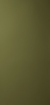 Obrázek Oberflex Dark olive 017 3050 x 1270 x 0.9 mm Net