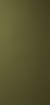 Obrázek Oberflex Dark olive 017 3050 x 1270 x 0.9 mm Tabs